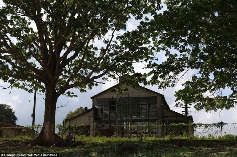 Vung dat ma Fordlandia giua rung Amazon rong lon-Hinh-11